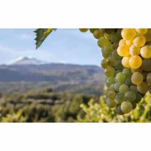 Donnafugata Sul Vulcano Etna Rosso Doc 2022